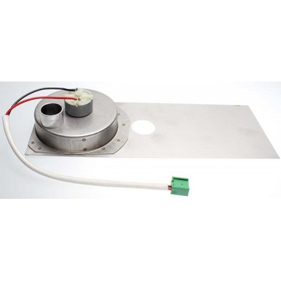 Ventilateur de combustion 